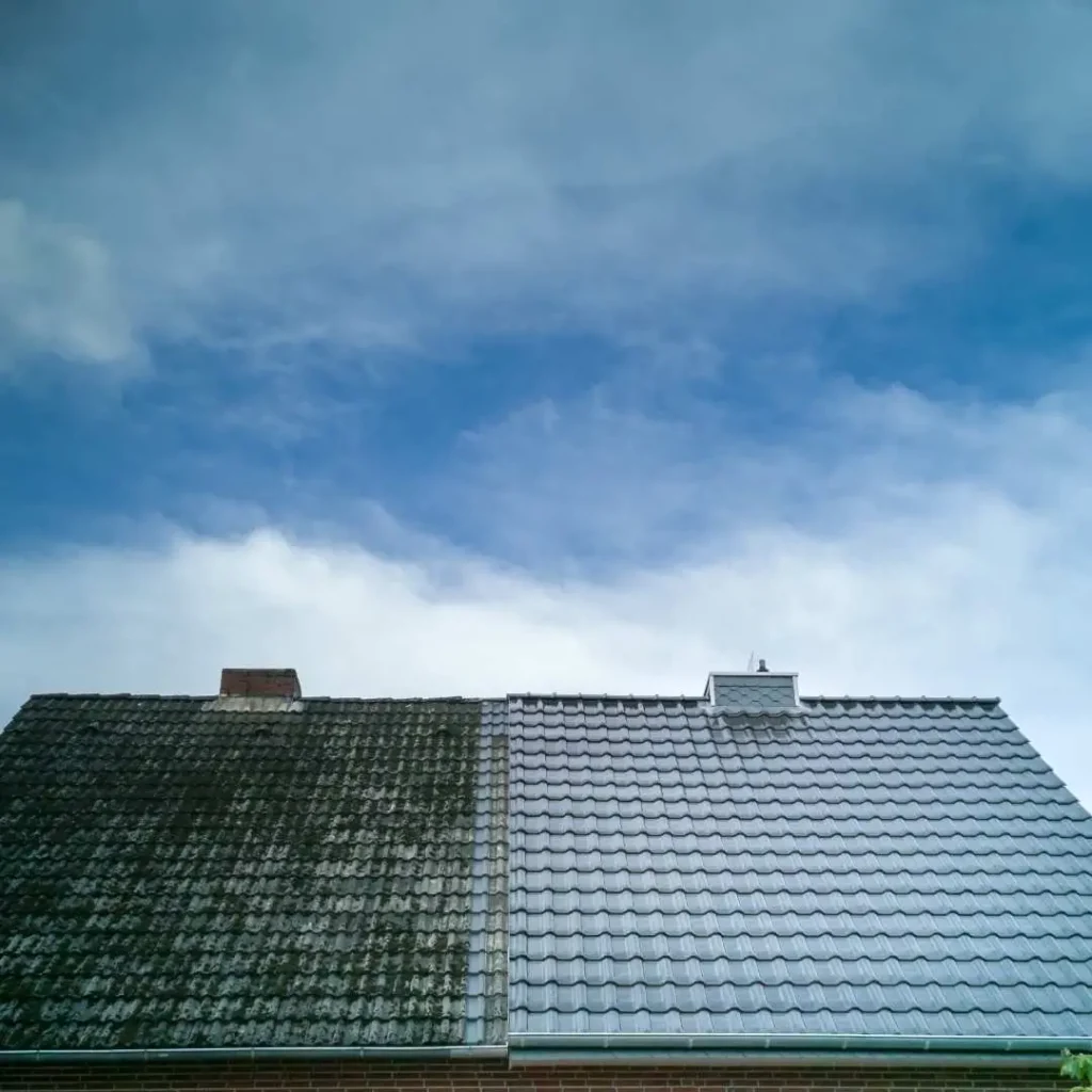 Professional team performing top-rated roof cleaning to remove algae and stains.