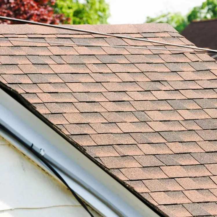 Roof Transformation After Professional Cleaning Service